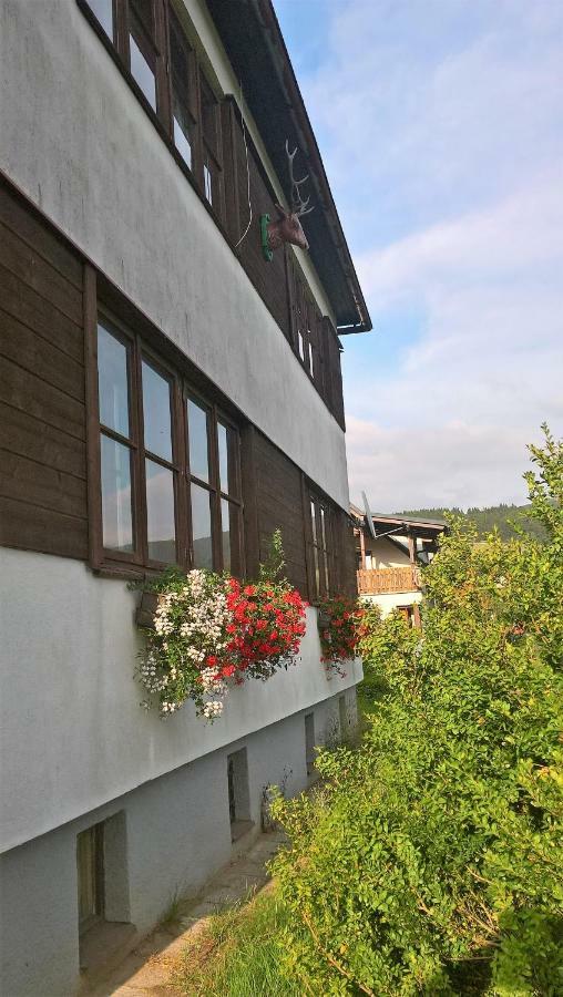 Apartman Na Polesi Destne v Orlickych horach Exterior photo